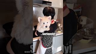 Her Mom Really Hate Dogs
