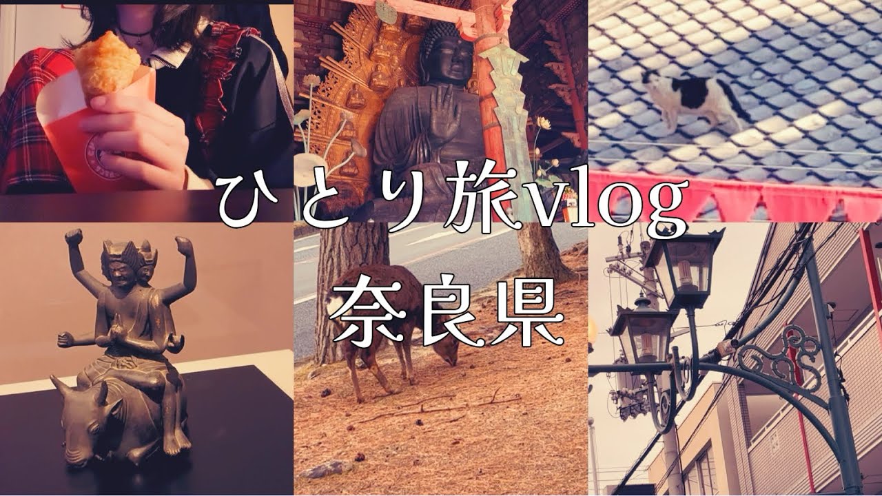 《ひとり旅》奈良に逃避行した日🦌⸝⋆