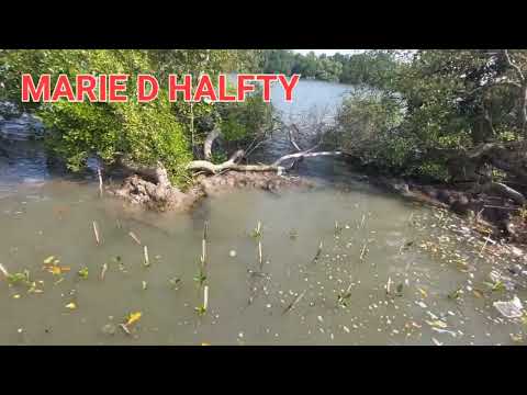 A PLACE TO VISIT WHEN YOU ARE IN ILOILO,PHILIPPINES