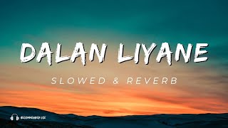 Dalan Liyane - Happy Asmara (Slowed & Reverb)