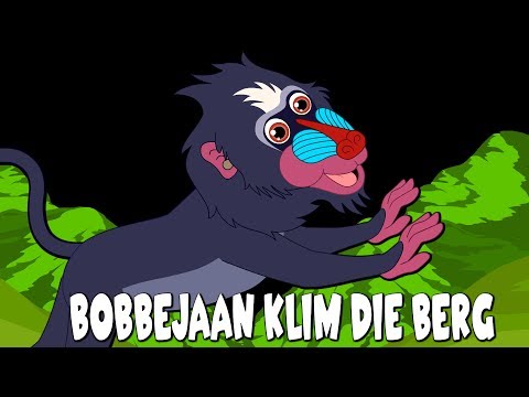 Video: Klim bobbejane bome?