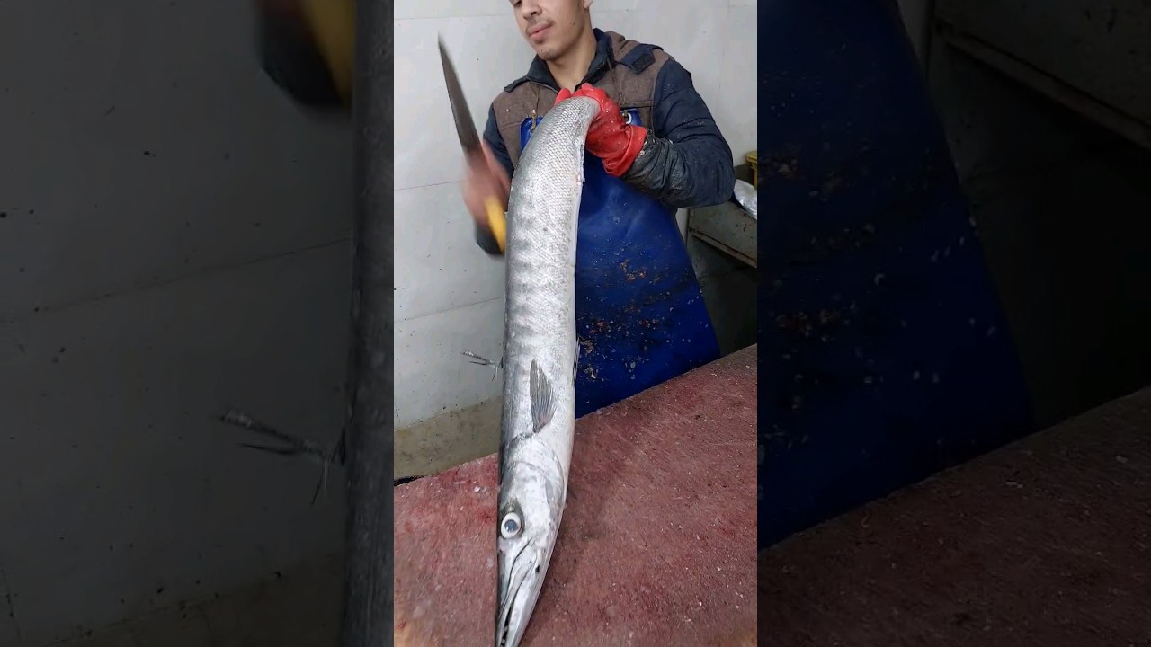 big barracuda fish cutting knife very fast🐟🔪 #viral #fish #shorts