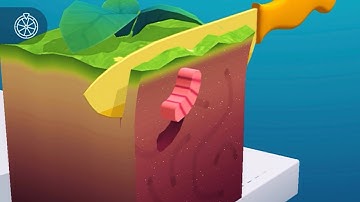 ASMR Slicing All Levels Gameplay Walkthrough Satisfying Video