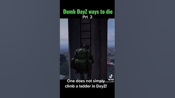 Dumb DayZ ways to Die Prt 2 climb a ladder