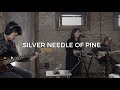 Childish japes  silver needle of pine  live  feat courtney swain