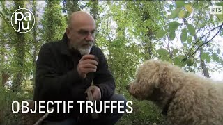 Passionnés de truffes, ils racontent les mystères du diamant noir