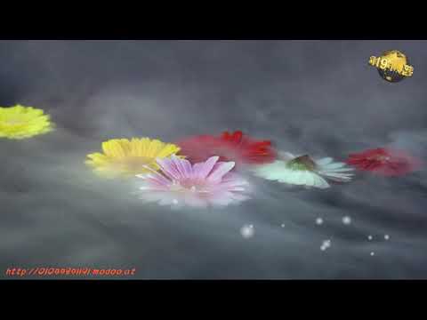 듣기좋은 멜로디 / 동물원_널 사랑하겠어(MR)