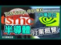 半導體股票行業概覽 | NVDA可以升到邊? | TSM 中芯 市場定位 | 華虹半導體 Intel [ 中文字幕 ] #nvda #中芯國際 #台積電