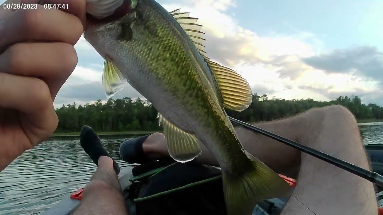 FL bass fishing!