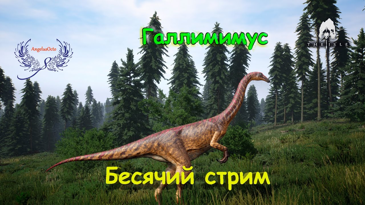 Сервера age of dino. The Isle стрим. The Isle стрим age of Dino. Галлимимус the Isle evrima. The Isle галики.