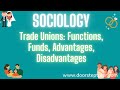 Understanding Trade Unions and Their Functions