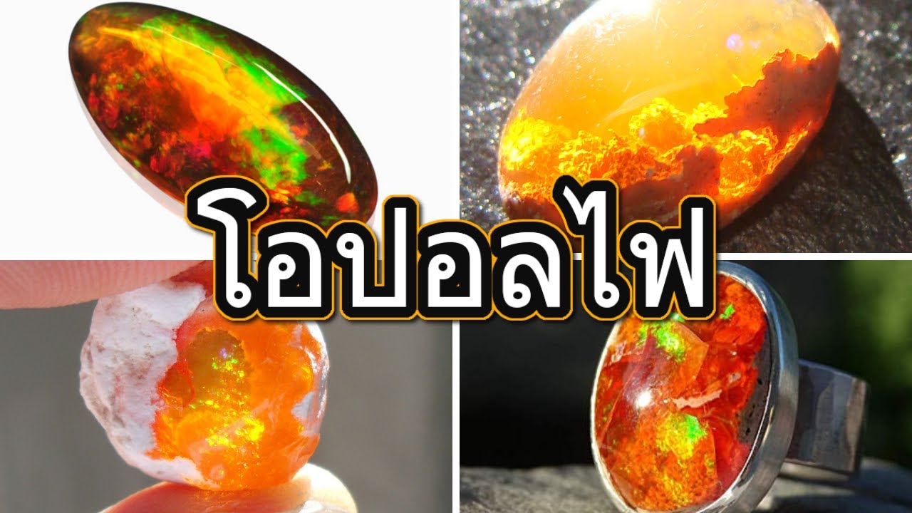 โอปอลไฟ พลอยแห่งเพลิง | ข้อมูลที่เกี่ยวข้องโอปอ ล ความ หมายที่ถูกต้อง ... โอปอลไฟ พลอยแห่งเพลิง | ข้อมูลที่เกี่ยวข้องโอปอ ล ความ หมายที่ถูกต้อง ...