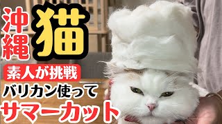 [Amateur DIY] Try your cat's summer cut at home! by ぽんもち日記 385 views 5 days ago 13 minutes, 20 seconds
