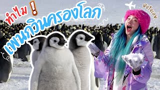 [คลิปเต็ม] ทำไมนกเพนกวินถึงคิดจะครองโลก 🐧🌏