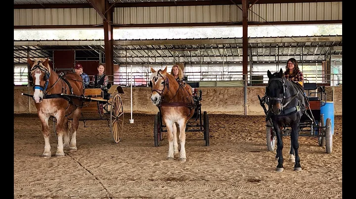 Horsing Around with Lex Luther, Bill, and Lacey at...