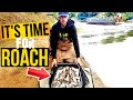 BIG AUTUMN ROACH FISHING BAGS