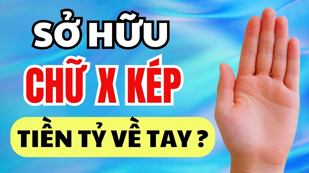 Sở Hữu Chỉ Tay Chữ X Kép: 1% Dân Số Sở Hữu Và Cú Nổ Tài Chính Năm 2026