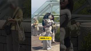 ノミの心臓を持つハスキーが苦手な事にチャレンジするとこうなる…