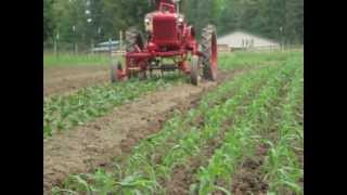 Organic Redneck Cultivates with Cub
