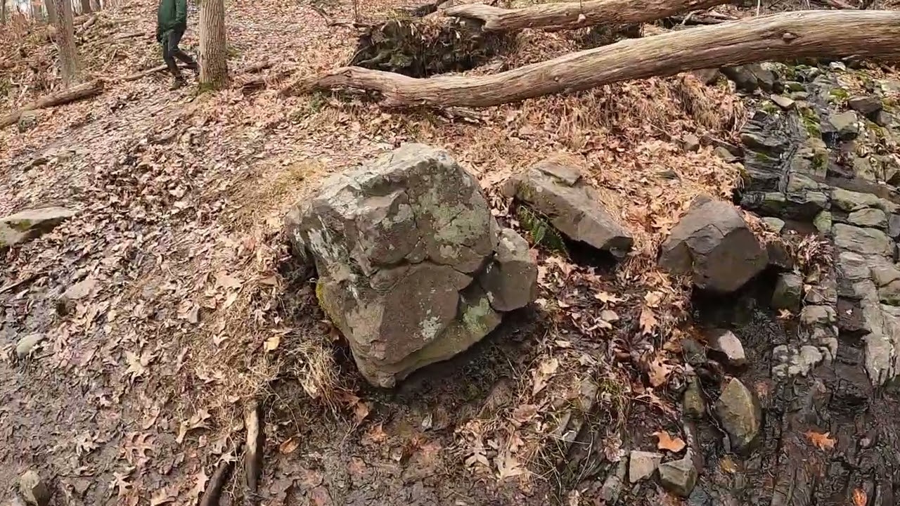 Hiking the Blue Trail @ Green Lane Park