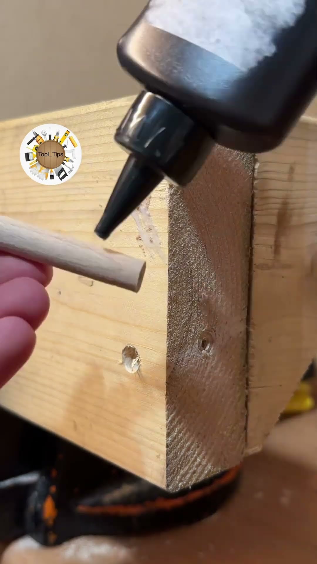 Fill the Hole - Hide Screw Head