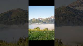 AUSTRIA | Relaxing Ambient Music for Sleep &amp; Study