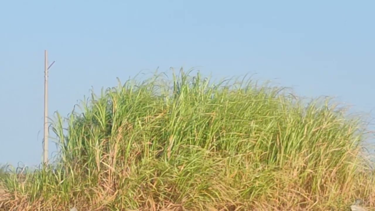 How it feels to feel nothing