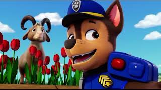 Paw Patrol Pups Save The Super Cow