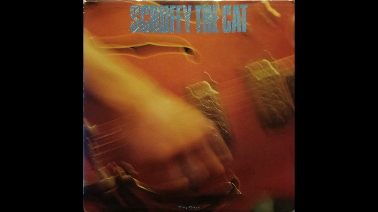 A5 Thomas Doubter - Scruffy the Cat – Tiny Days 1987 US Vinyl