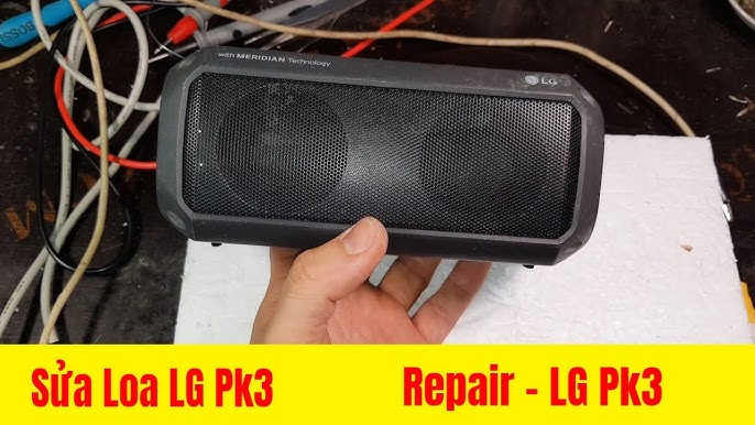 1. Giới thiệu tổng quan về loa LG PK3