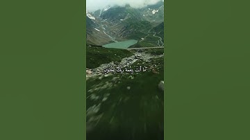 واتس اب قران كريم القارئ ياسر دوسري (سوره القلم)