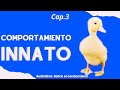 SOBRE EL CONDUCTISMO, B.F. SKINNER- CAPÍTULO 3: COMPORTAMIENTO INNATO (VOZ HUMANA)