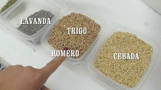 USANDO ESTO DESAPARECIÓ MI DOLOR DE ESPALDA
Este saco térmico de semillas terapéutico, es ideal para aliviar muchas dolencias de todo tipo, tanto en frío como en caliente, barato de hacer y muy eficaz, regalo perfecto para cualquiera
MUSICA
Cumbia No Frills Faster de Kevin MacLeod está sujeta a una licencia de Creative Commons Attribution (https://creativecommons.org/licenses/...)
Fuente: http://incompetech.com/music/royalty-...
Artista: http://incompetech.com/
PASATE POR MI CANAL PRINCIPAL PINCHANDO ESTE ENLACE
http://www.youtube.com/user/lascosasdelalola/videos
SUSCRIBETE A LOLA TEMPRADO EN TUS MANOS
http://www.youtube.com/channel/UC-K8Wbj45m9Fq_k3D6Ke0dg/videos
ENTRA EN MI FACEBOOK Y HAZTE MI AMIGO
https://www.facebook.com/lola.tempradoserrano USANDO ESTO DESAPARECIÓ MI DOLOR DE ESPALDA