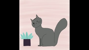 My First Cat Drawing On Procreate. Time Lapse Video.