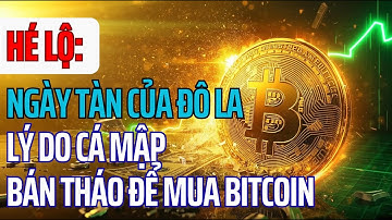 Ngày tàn của Đô la: Hé lộ lý do cá mập bán tháo để gom Bitcoin
