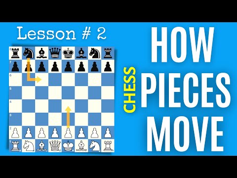 Chess pieces moves