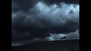 Diary Of Dreams - She And Her Darkness [HQ]