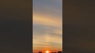 Moment of Nature - "Carpe Diem"