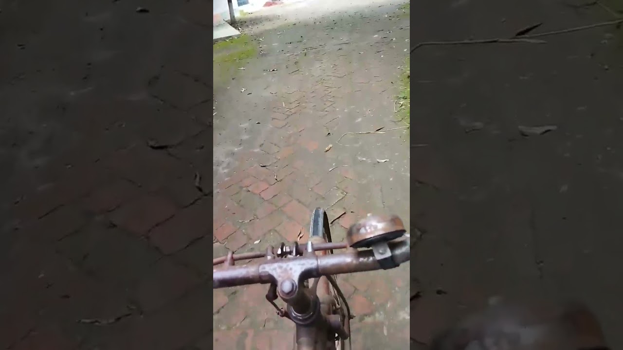 রবীন্দ্রনাথ ঠাকুরের পিতৃ-পুরুষের বসতভিটা পিঠাভোগ,রূপসা, খুলনা