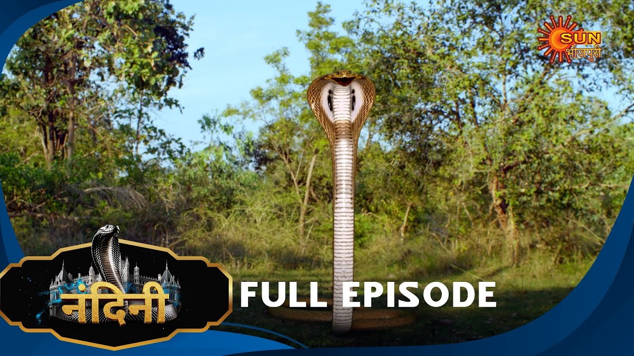 Nandini - Episode 288 | Bhojpuri Naagin show | Sun Bhojpuri | Bhojpuri Serial