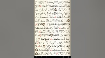 ماهر المعيقلي سورة الأنعام مكتوبة صفحة 142 مصحف المدينة المنورة جودة عالية