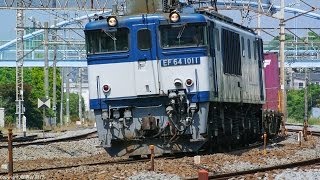 JR貨物 EF64-1011 3075レ 愛A24 大宮更新色ロクヨン @横浜羽沢~相模貨物
