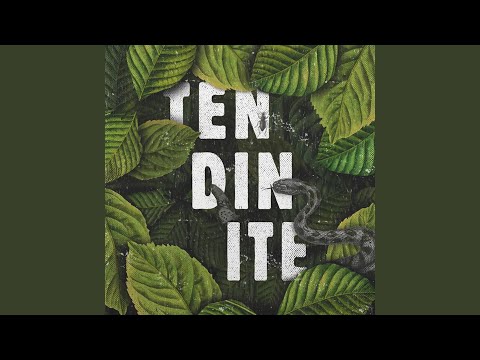 Tendinite artwork