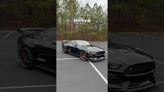 This Never Fails To Make Me Happy