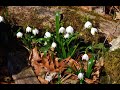 Vom schreckenfels bei grabenstetten durch das erdtal im frhling