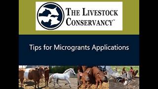 Tips for Microgrants Applications
