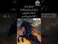 Hazrat Ali Quotes About Life Unfrezzmyaccount Horse Hazrataliakbarkishahadat Shortsfeed