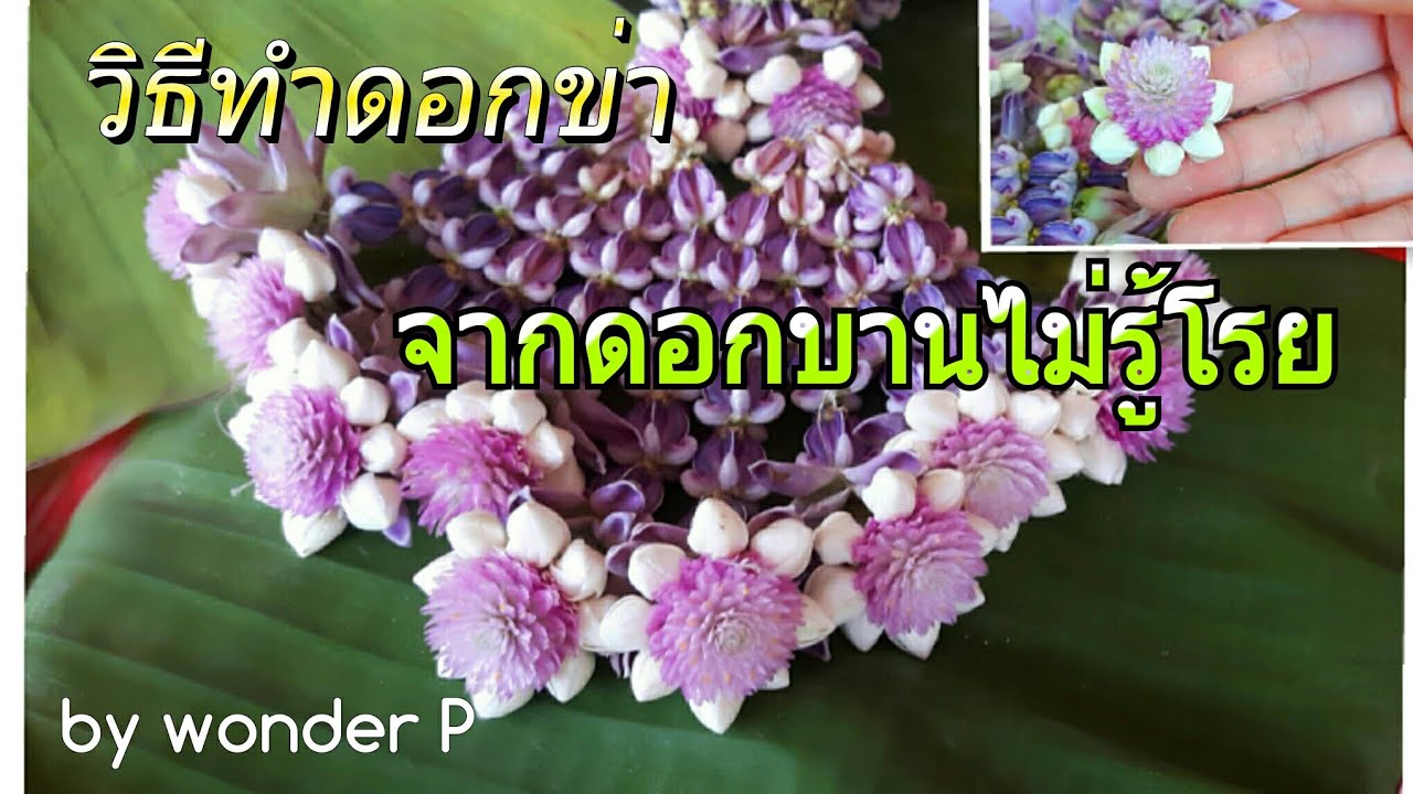 วิธีทำ ดอกข่า จากดอกบานไม่รู้โรย