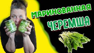 МАРИНОВАННАЯ ЧЕРЕМША на зиму/Вкусные РЕЦЕПТЫ/Солка на каждый день.