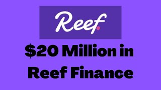 Alameda Research Invests $20 Million in Reef Finance, a Cross Chain DeFi Platform